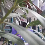 Masal Hotel